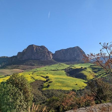Ríogordo Cortijo Sylvestre B&B 외부 사진