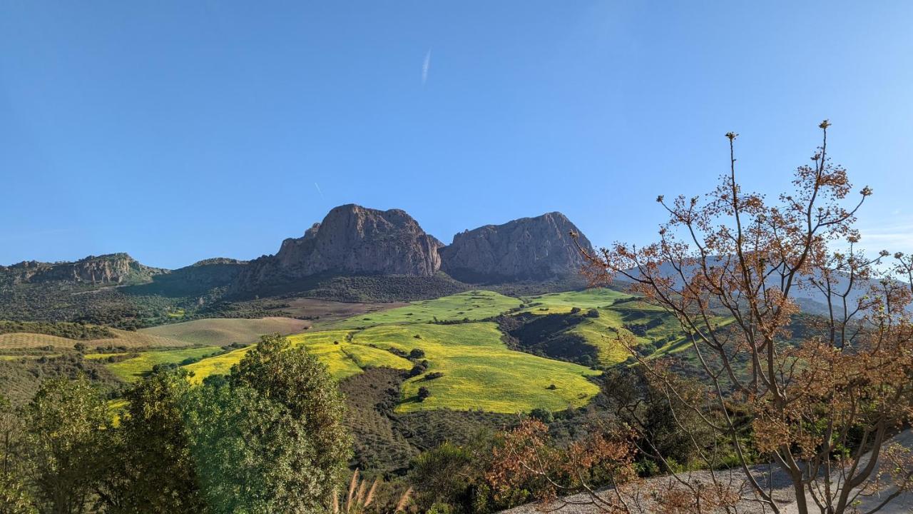 Ríogordo Cortijo Sylvestre B&B 외부 사진